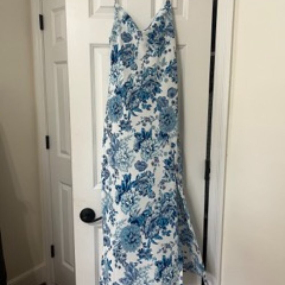 Petal and Pup Blue and White Dress
